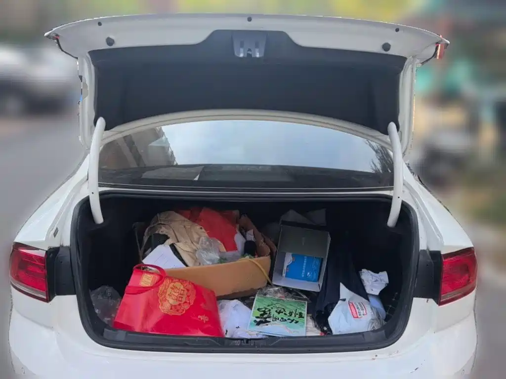 Volkswagen Lamando — миниатюра 20