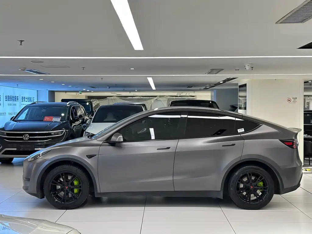 Tesla Model Y — миниатюра 4