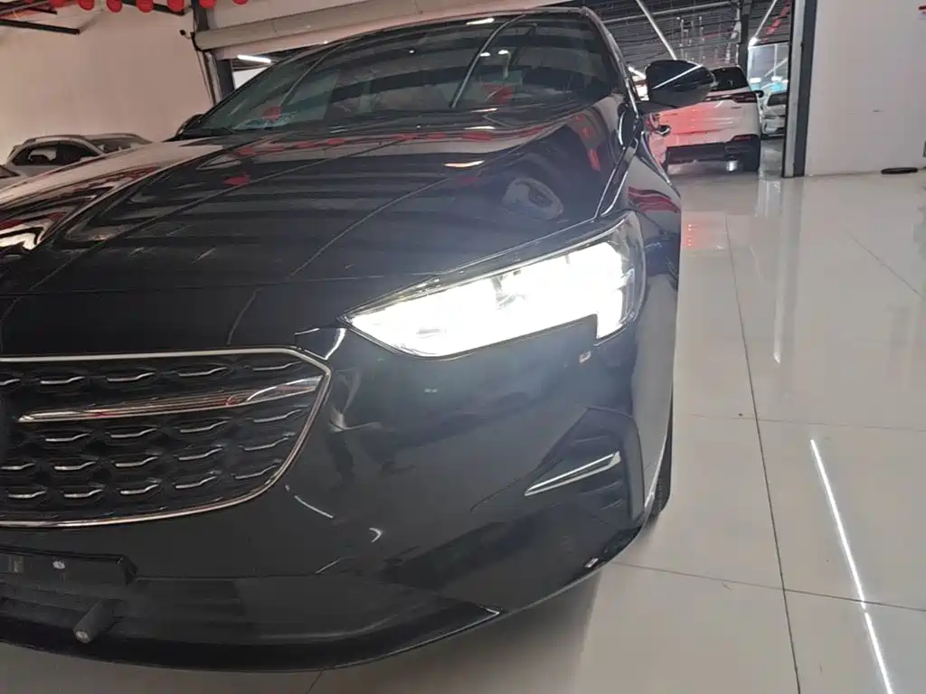 Buick Regal — миниатюра 24