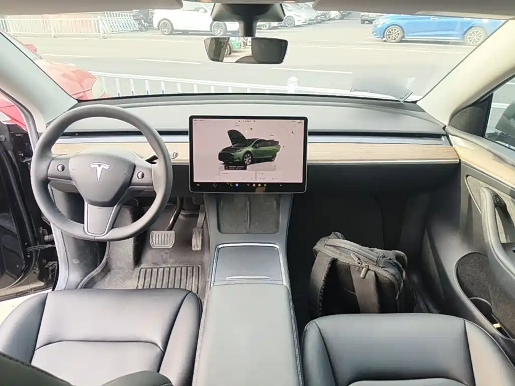 Tesla Model Y — миниатюра 10