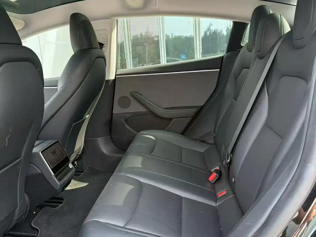 Tesla Model 3 — миниатюра 6