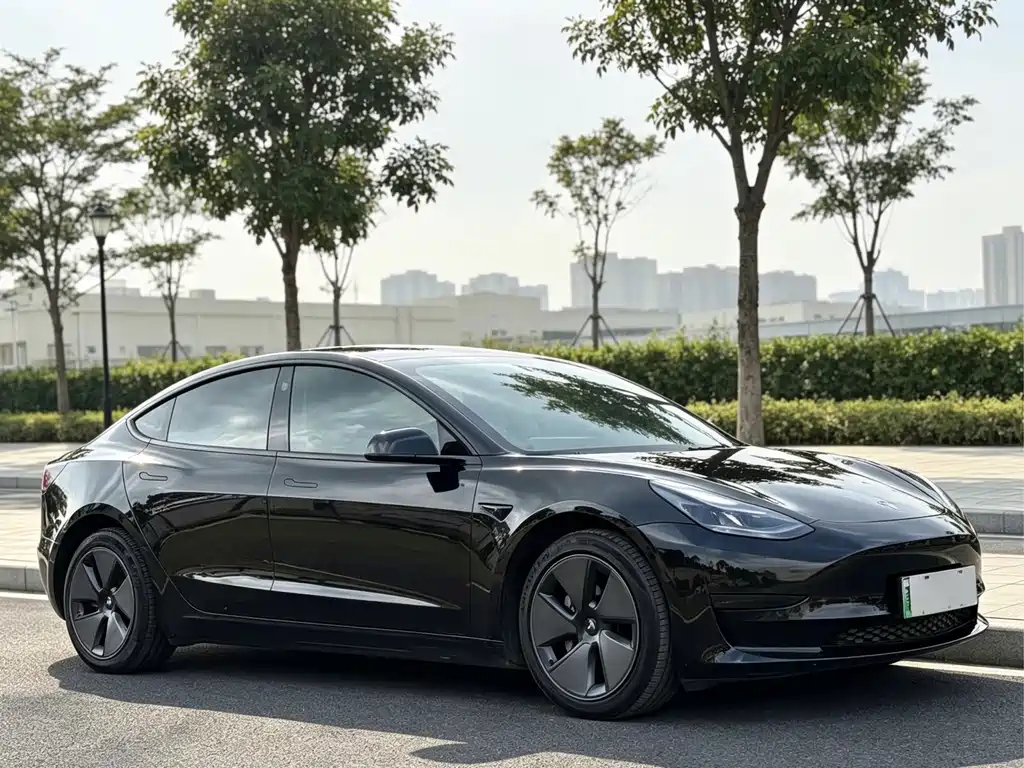 Tesla Model 3 — миниатюра 3