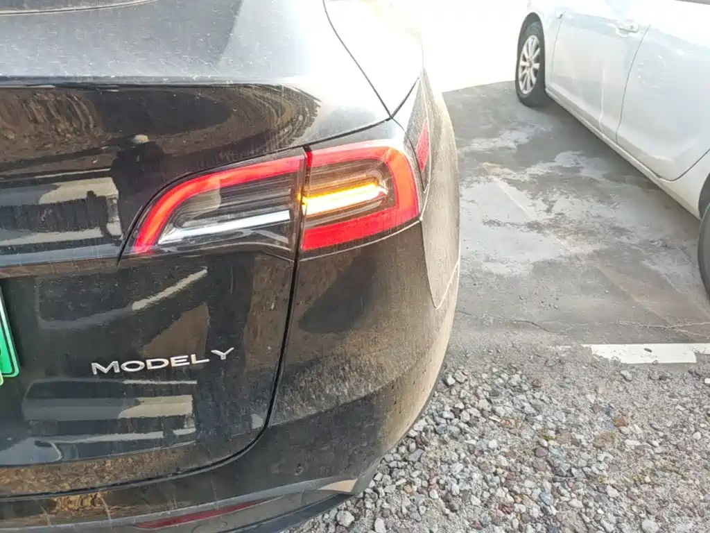 Tesla Model Y — миниатюра 8