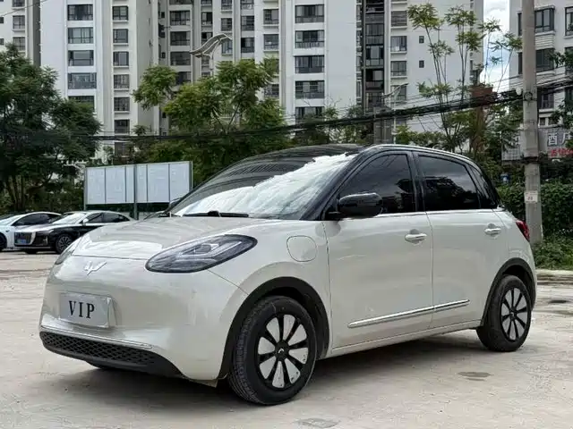 Wuling Bingo