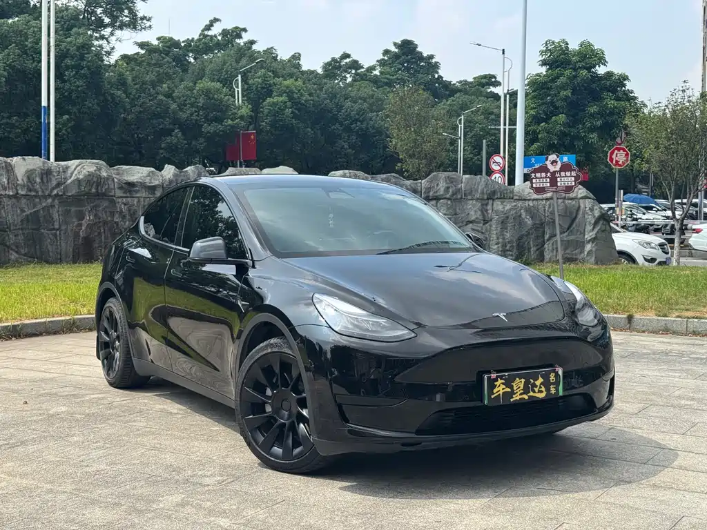 Tesla Model Y — миниатюра 3