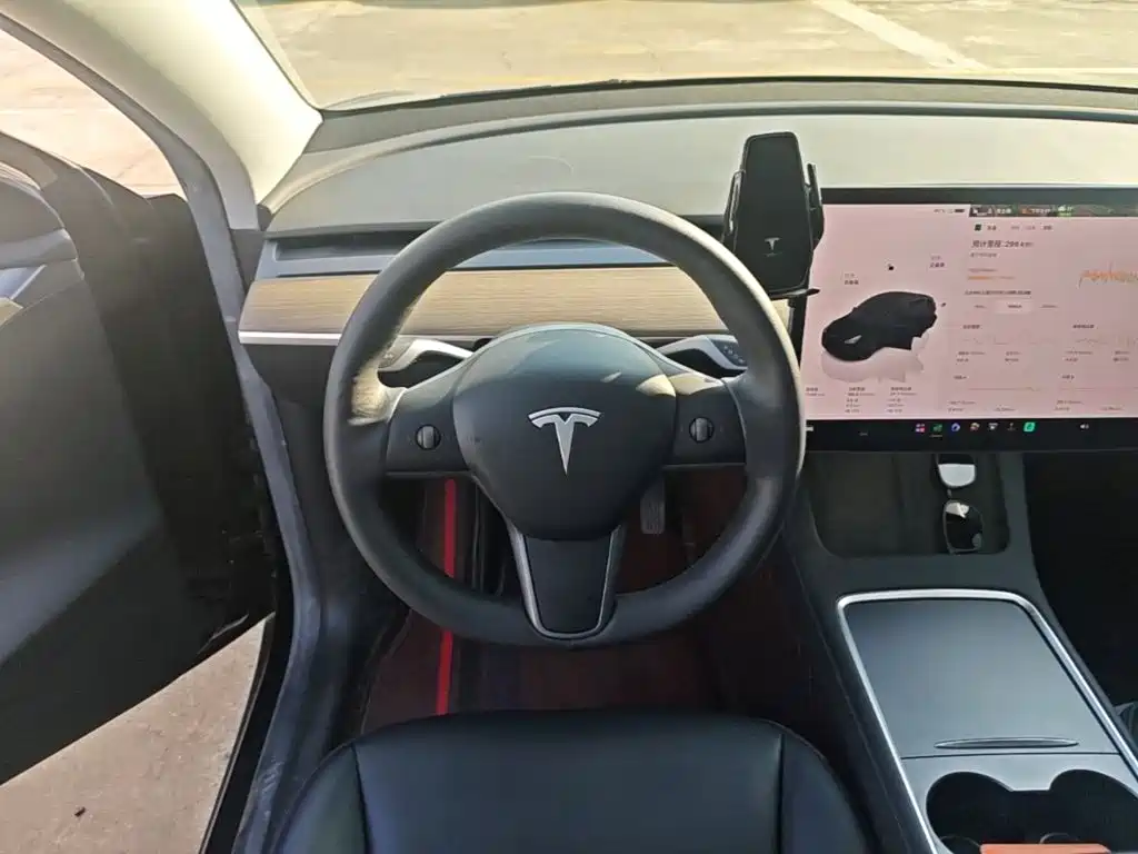 Tesla Model Y — миниатюра 11
