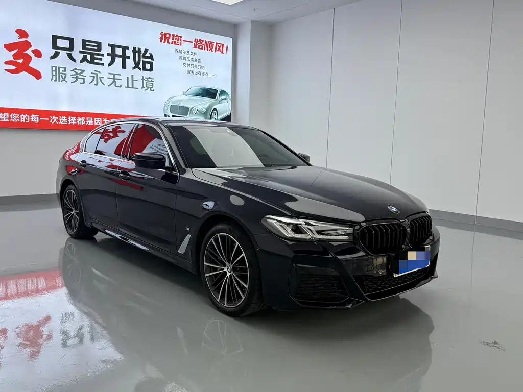 BMW 5 Series — миниатюра 3