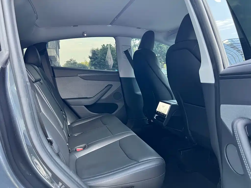 Tesla Model Y — миниатюра 9