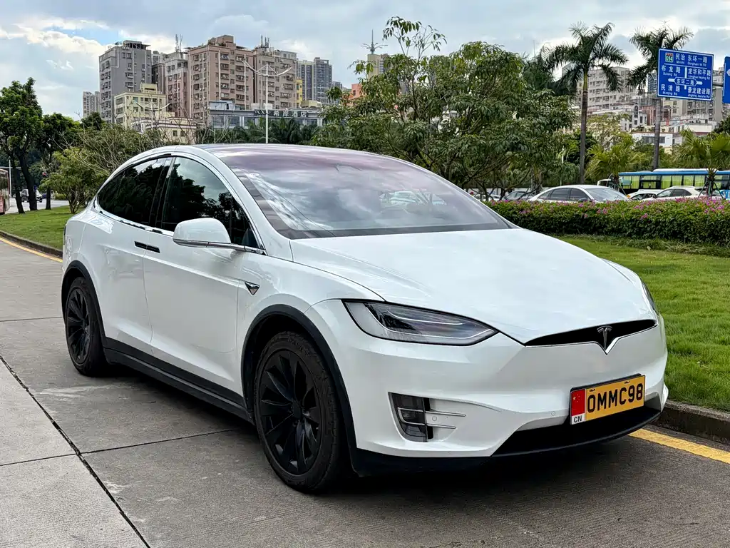 Tesla Model X — миниатюра 3