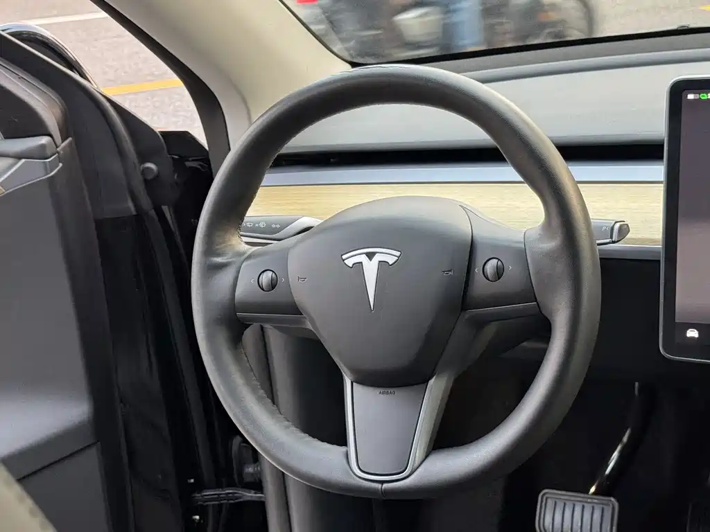 Tesla Model Y — миниатюра 14