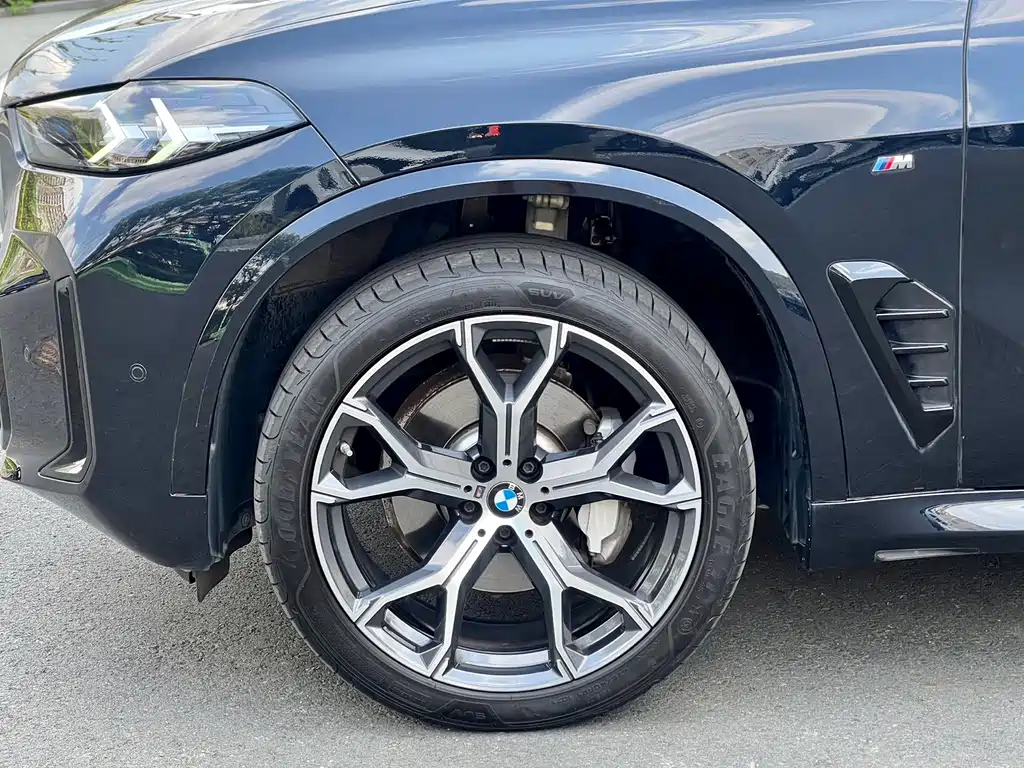 BMW X5 — миниатюра 9