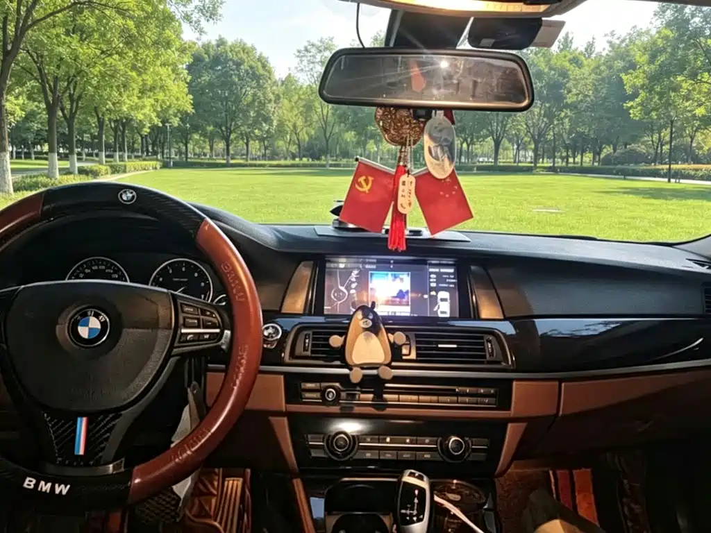 BMW 5 Series — миниатюра 5