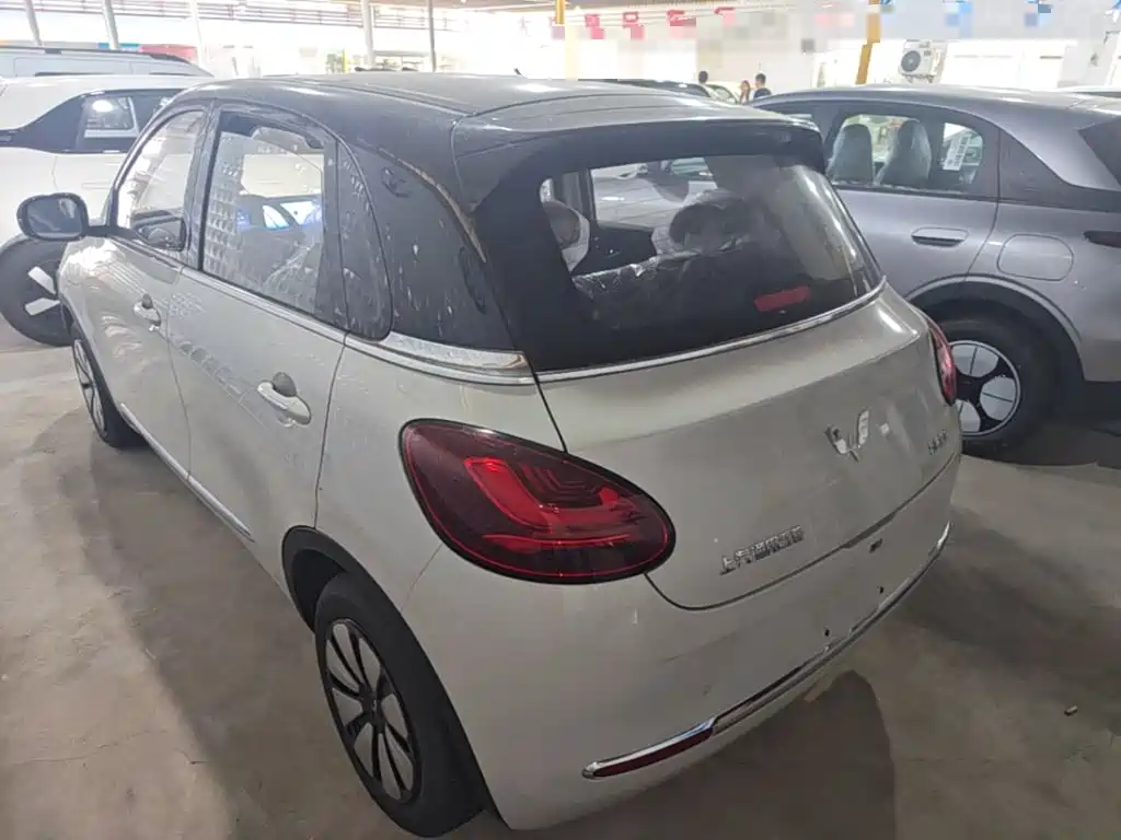 Wuling Binguo 2025 333km Enjoy