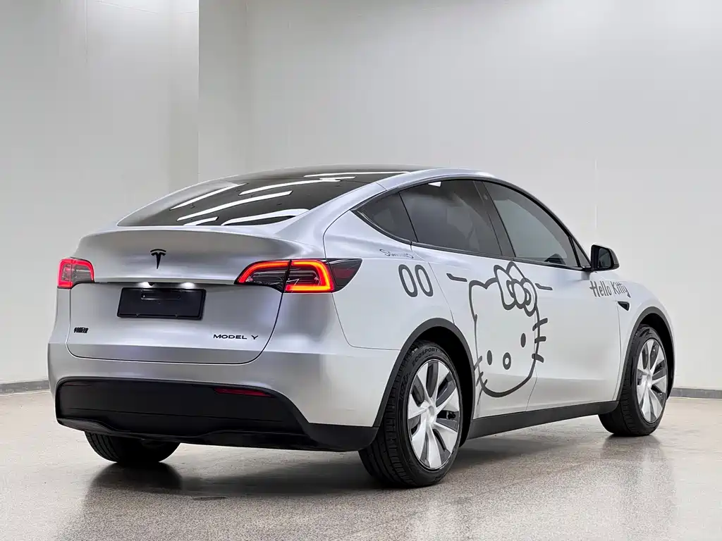 Tesla Model Y — миниатюра 6