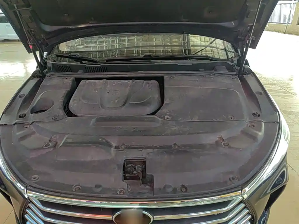 BYD MAX — миниатюра 20