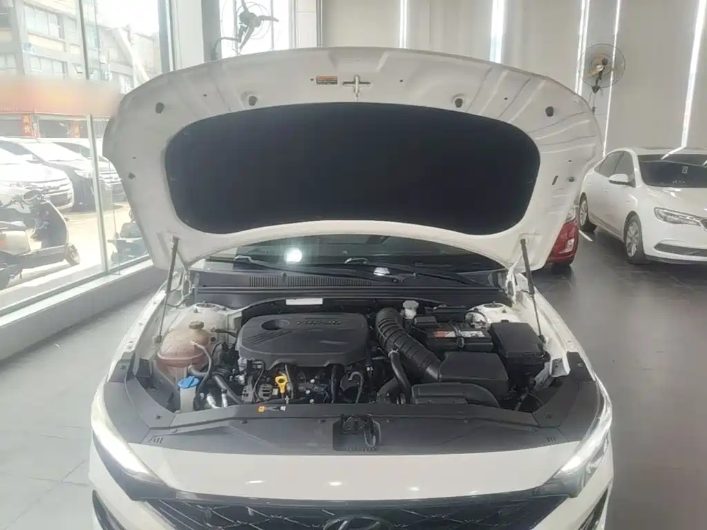 Hyundai Fista — миниатюра 20