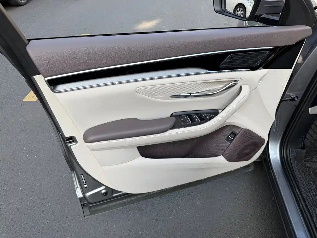 BYD PLUS New Energy — миниатюра 6