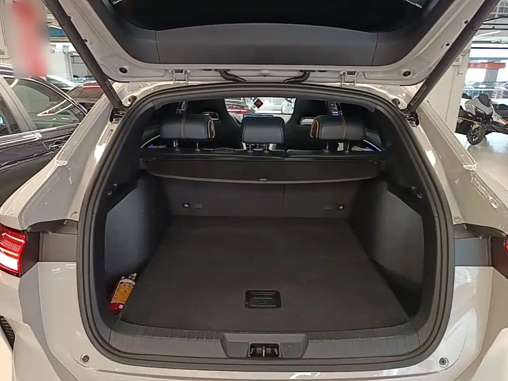 BYD PLUS New Energy — миниатюра 19