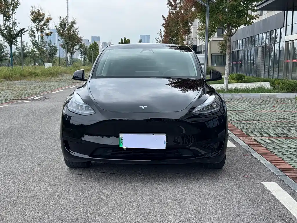 Tesla Model Y — миниатюра 2