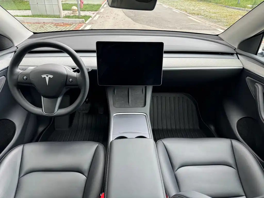 Tesla Model Y — миниатюра 18