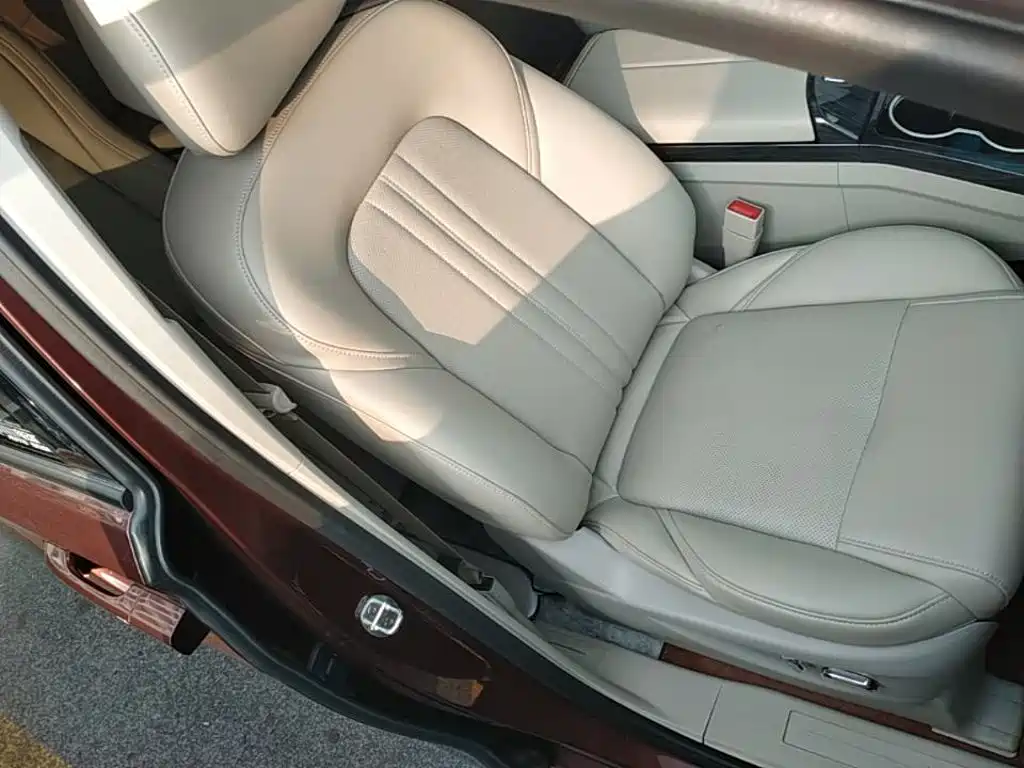 Buick GL8 — миниатюра 25