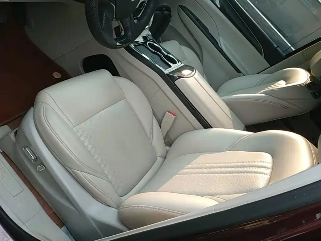 Buick GL8 — миниатюра 15