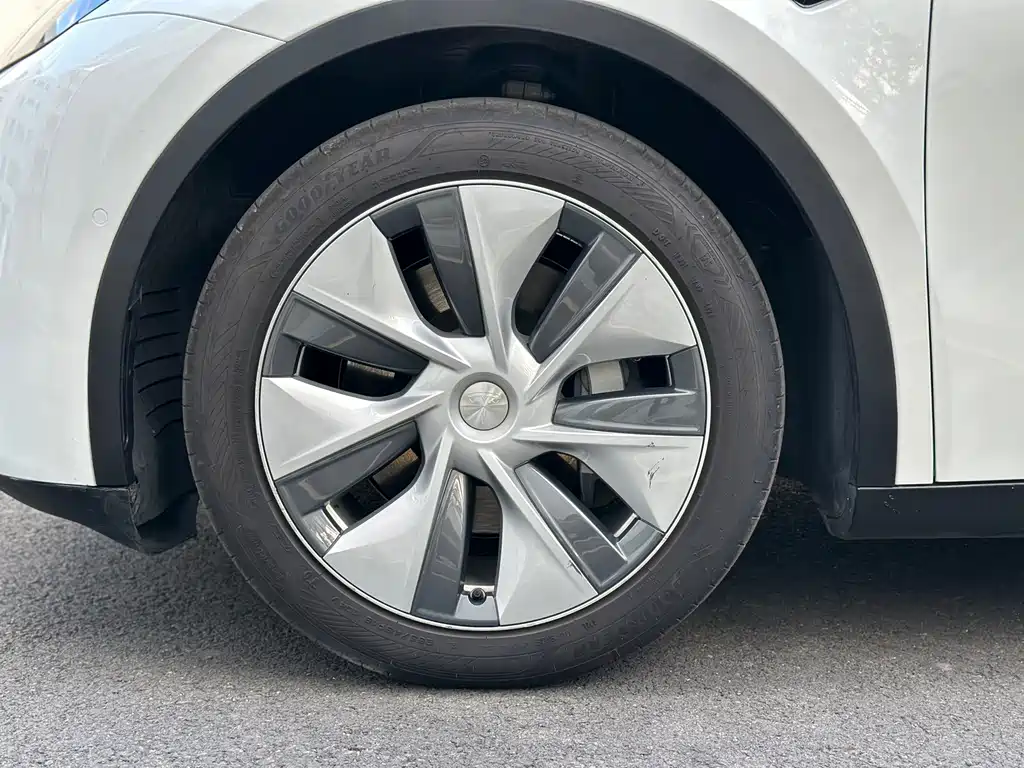 Tesla Model Y — миниатюра 15
