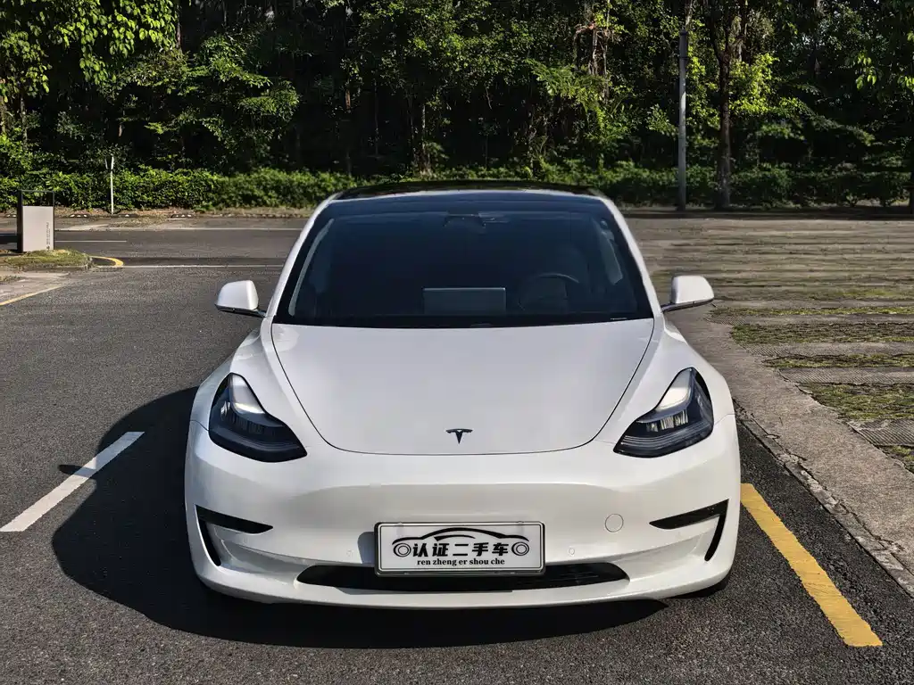 Tesla Model 3 — миниатюра 2