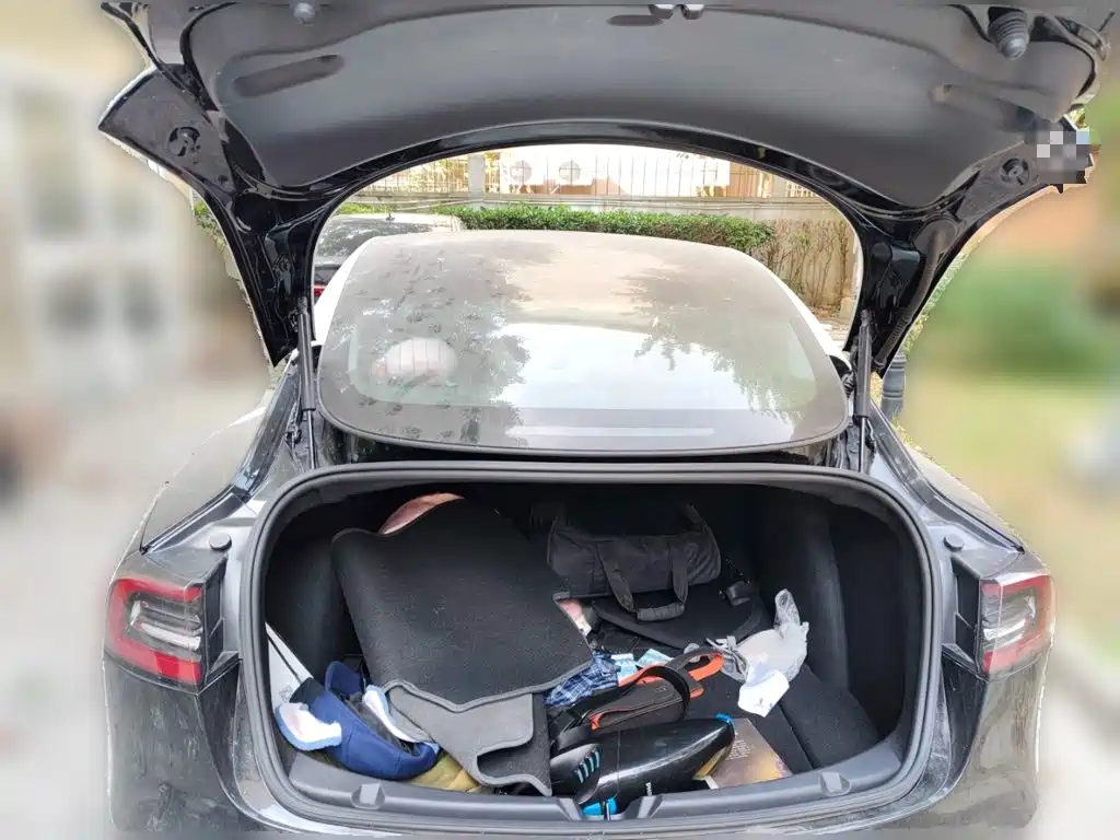 Tesla Model 3 — миниатюра 20