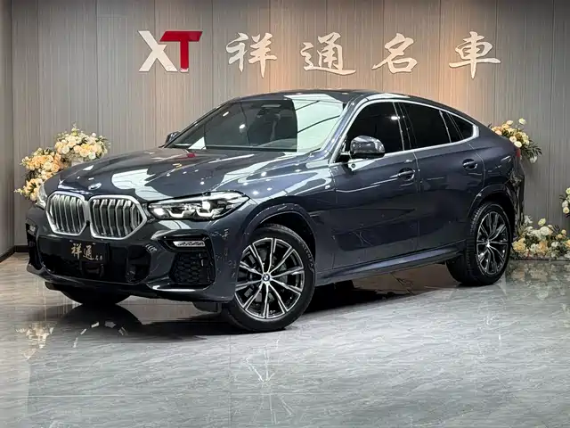 BMW X6