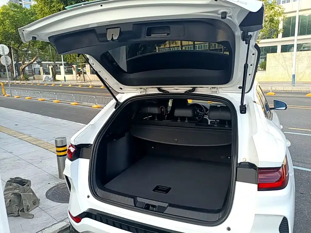 BYD PLUS New Energy — миниатюра 19