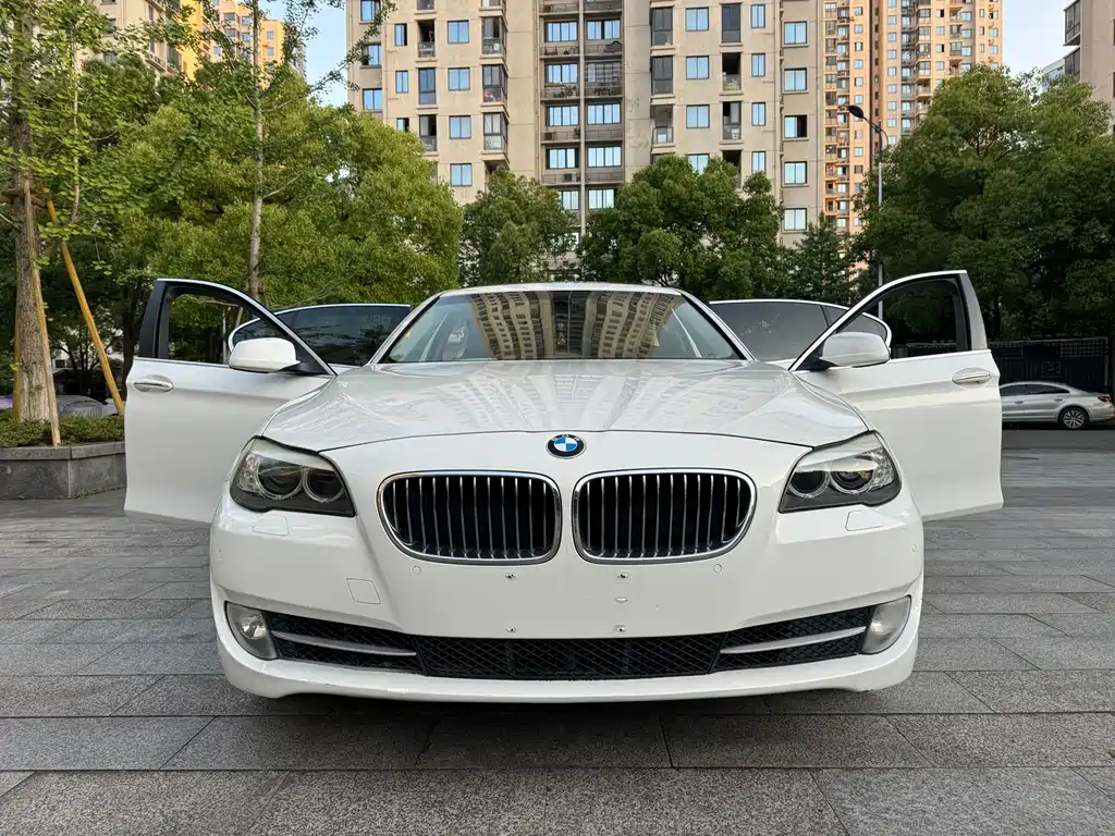 BMW 5 Series 2010