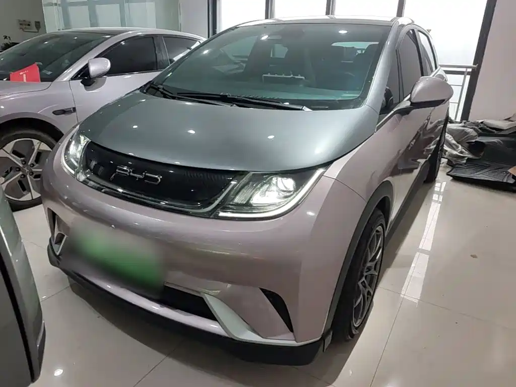 BYD Dolphin — миниатюра 3