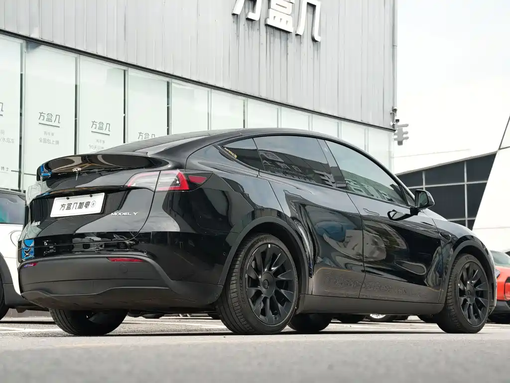 Tesla Model Y — миниатюра 4