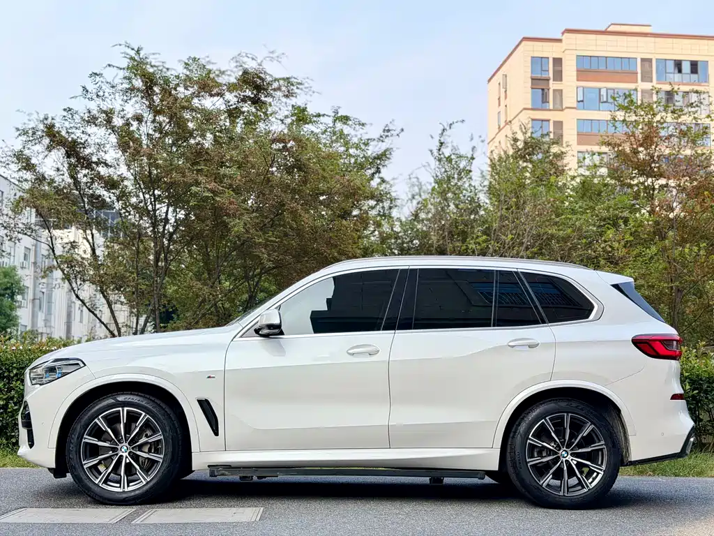 BMW X5 (Import) — миниатюра 7