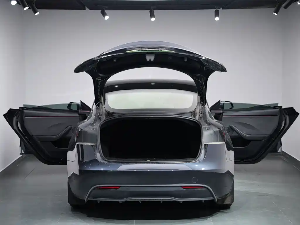 Tesla Model 3 — миниатюра 19