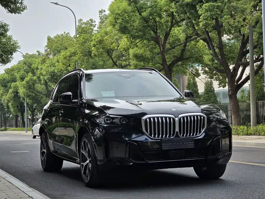 BMW X5 — миниатюра 3