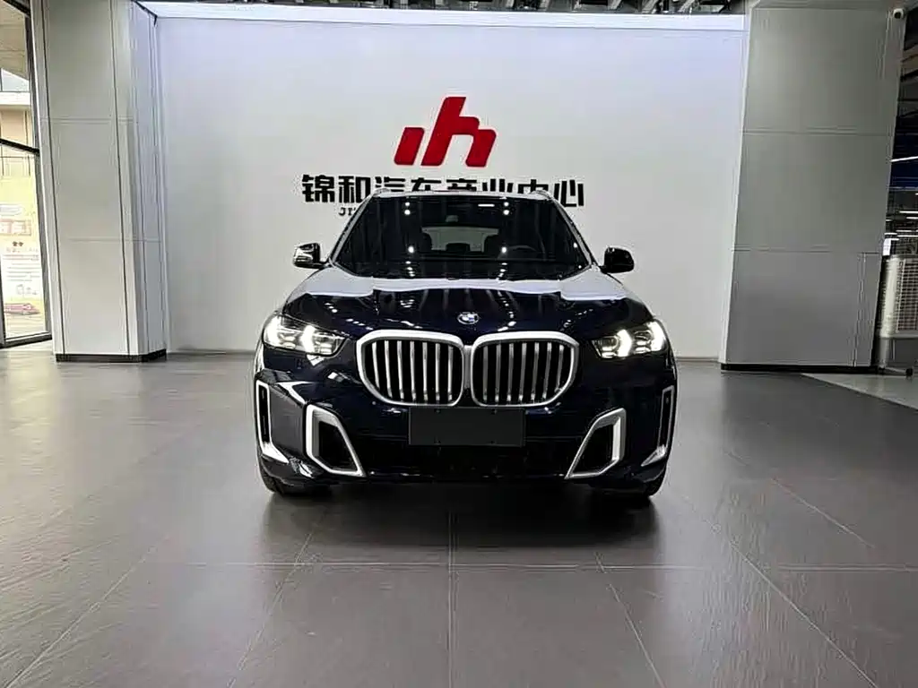 BMW X5 — миниатюра 3
