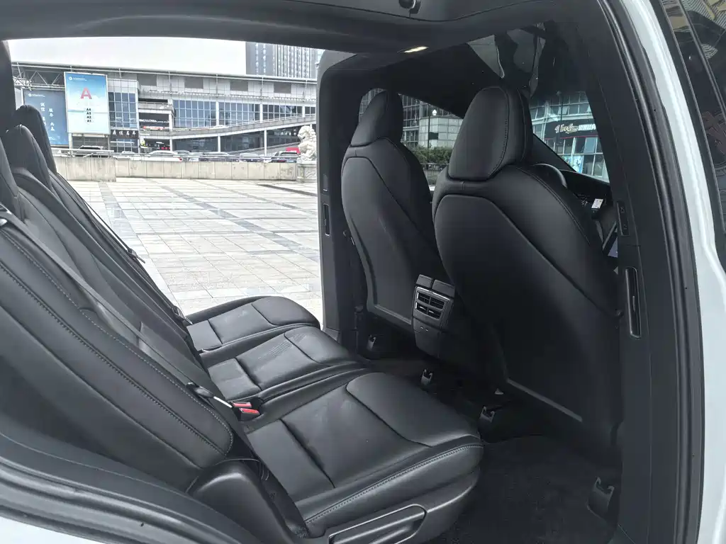 Tesla Model X — миниатюра 11