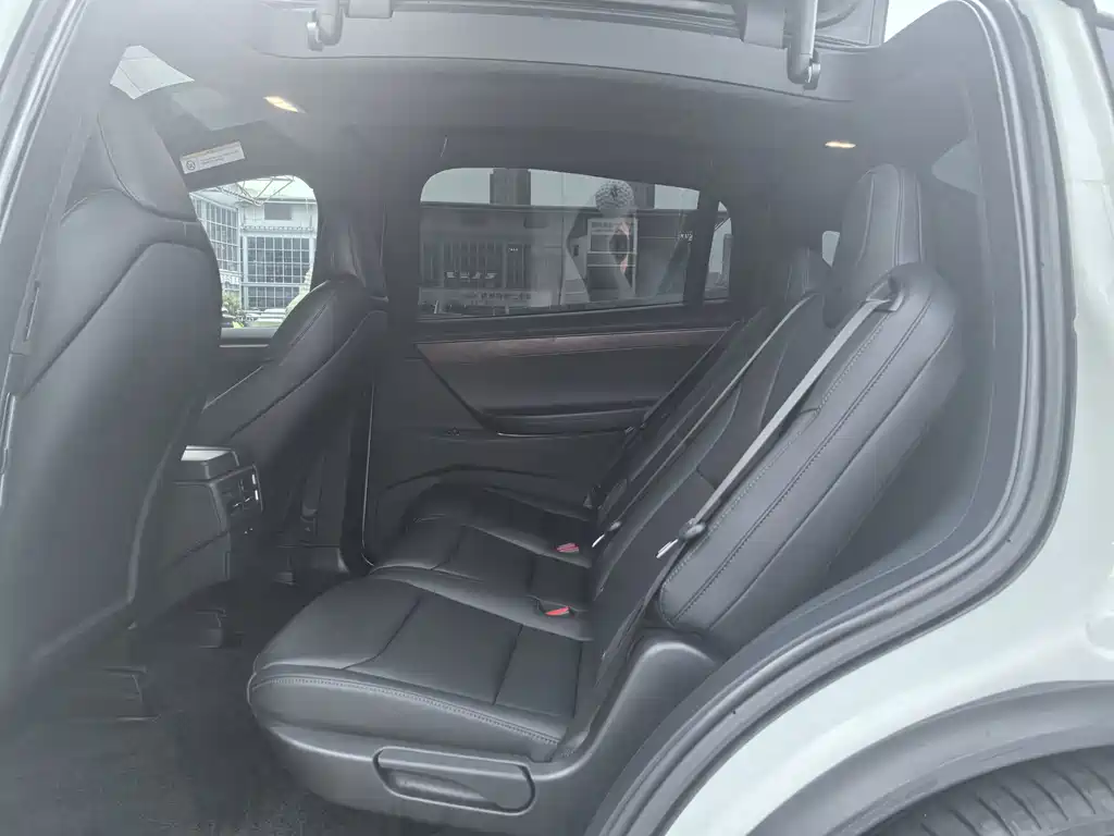 Tesla Model X — миниатюра 10