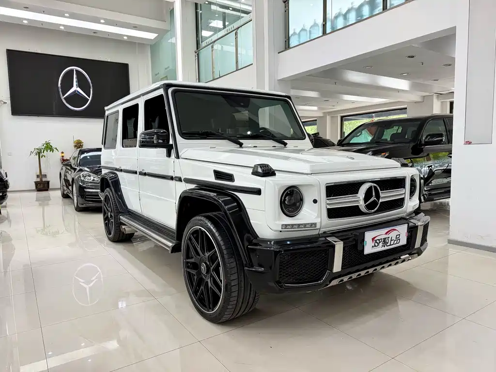Mercedes-Benz G-Class G 2010 G 500