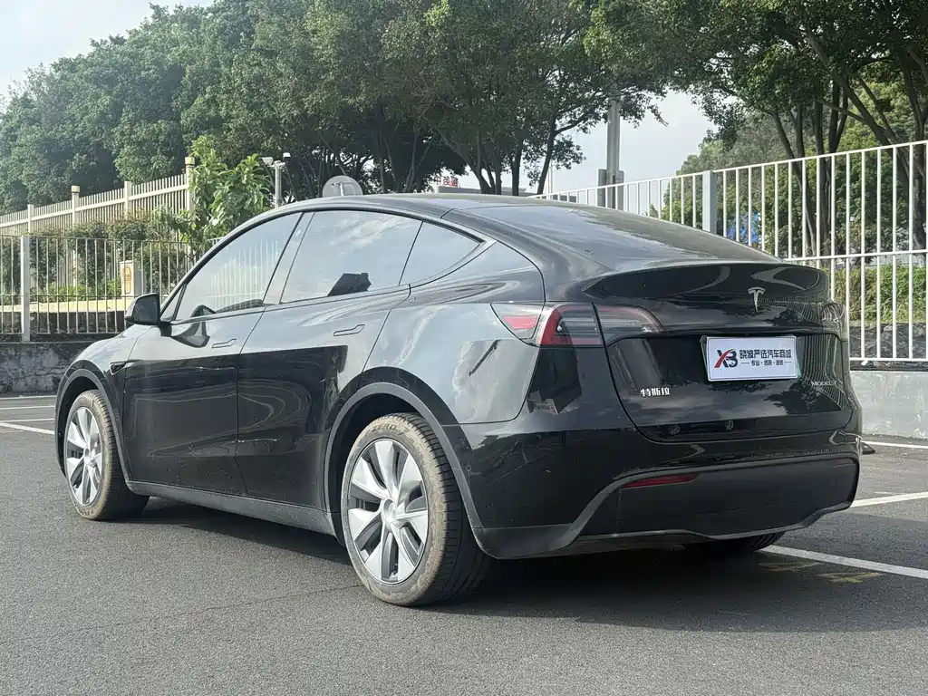 Tesla Model Y — миниатюра 11