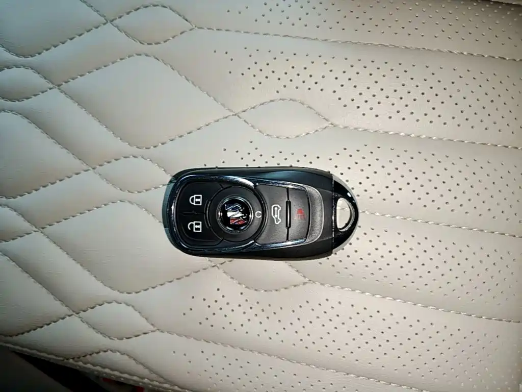 Buick GL8 — миниатюра 9