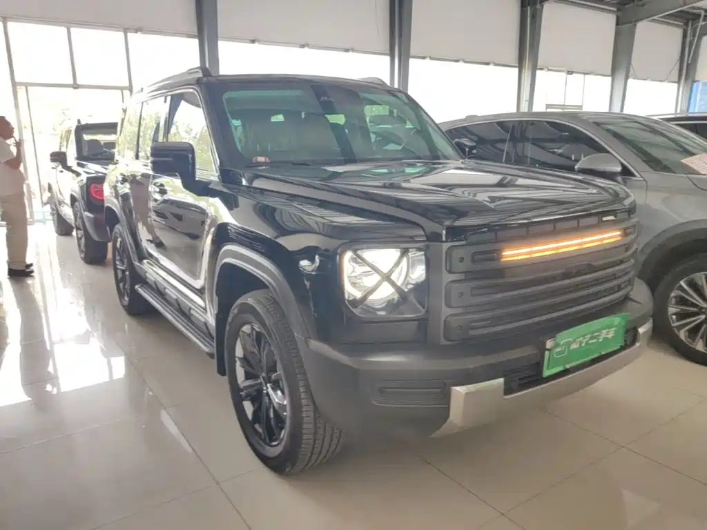 Haval Menglong New Energy — миниатюра 4