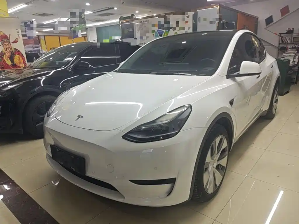 Tesla Model Y — миниатюра 2