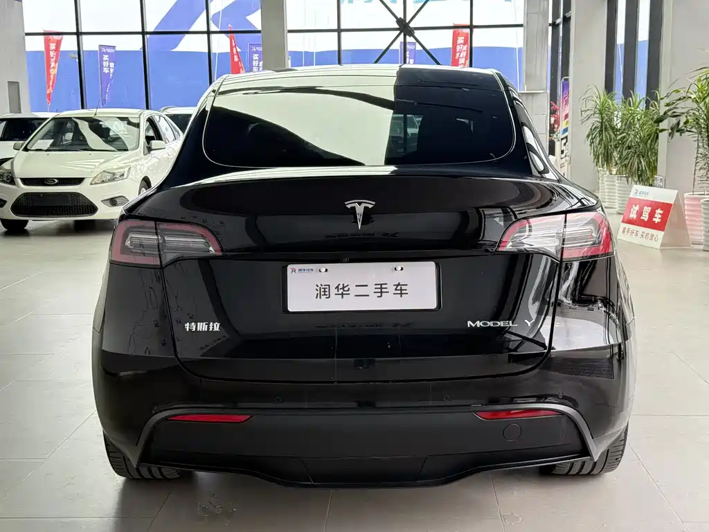 Tesla Model Y — миниатюра 4