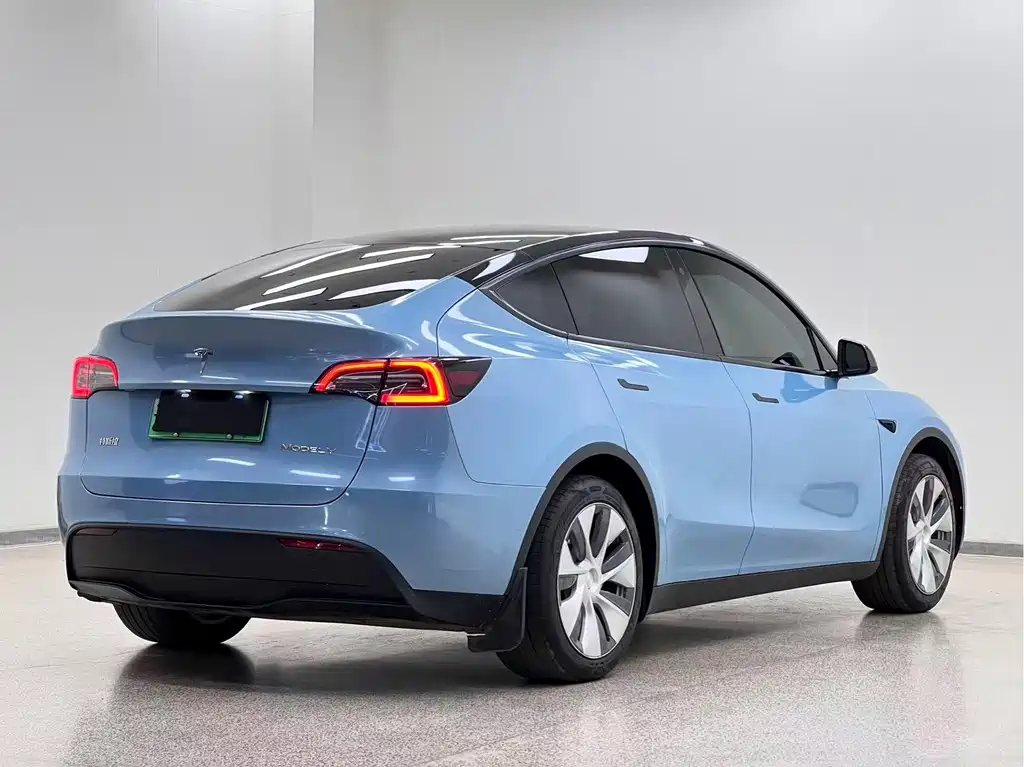 Tesla Model Y — миниатюра 4