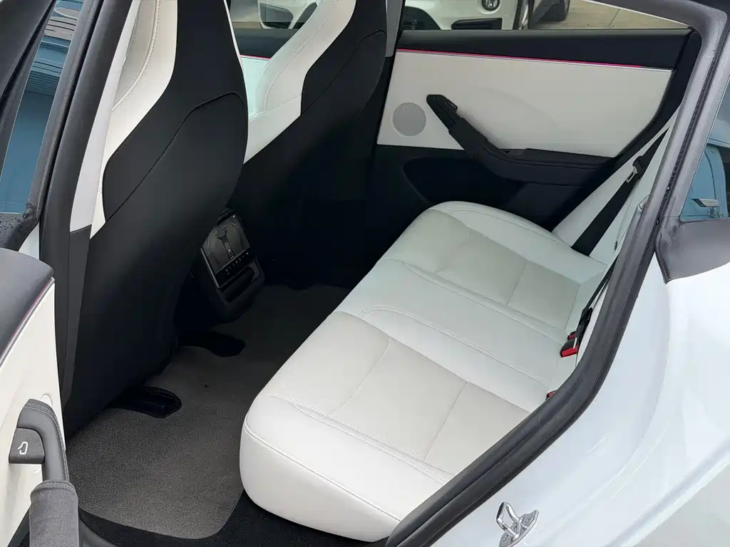 Tesla Model 3 — миниатюра 8