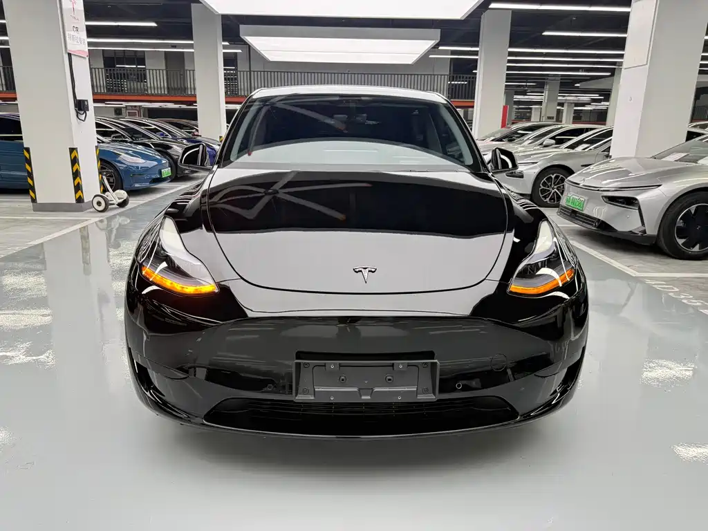 Tesla Model Y — миниатюра 2