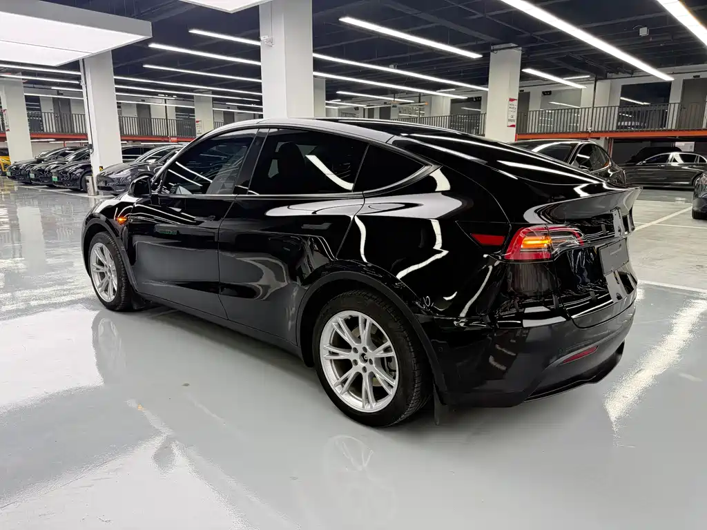 Tesla Model Y — миниатюра 16